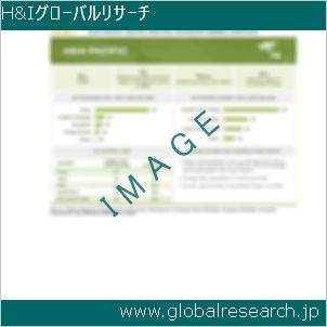 グローバルリサーチ調査レポートのイメージ